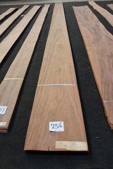American Walnut Veneer 283 x 14-20 cm | 0.6mm |0,566m&sup2;
