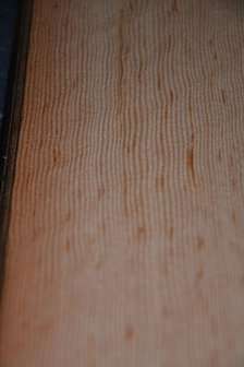Oregon Pine Veneer 215 x 27-28 cm | 0.6 mm | 0,59m&sup2;