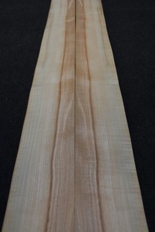 Olive Ash Veneer 275 x 12-13cm | 0.6mm | 0,344m&sup2;