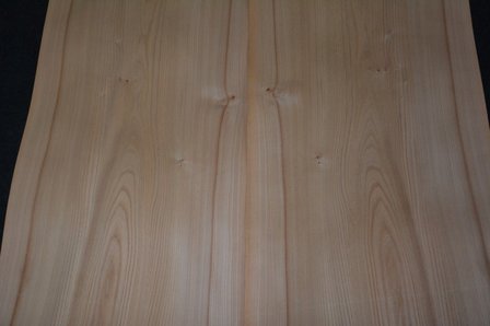 Elm Veneer 300 x 47 cm | 0.6mm | 1,410m2