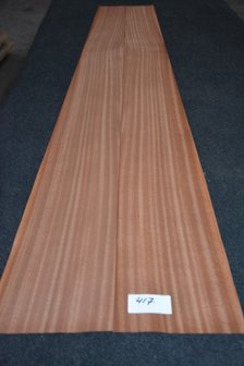 Sipo Mahogany Veneer 204 x 17-22 cm | 0.6mm | 0,398m&sup2;