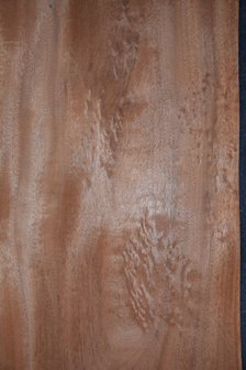 Mahogany Khaya Ivorensis Veneer 254 x 52 cm | 0.6mm | 1,321m&sup2;