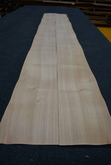 Elm Veneer 215 x 16-17 cm | 0.6mm| 0,355m2