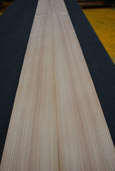 Elm Veneer 300 x 21 cm | 0.6mm| 0,630m2
