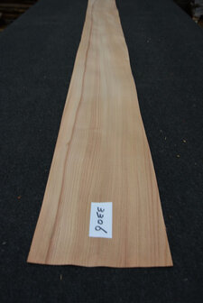 Elm Veneer 280 x 20 cm | 0.6mm| 0,560m2