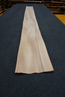Elm Veneer 280 x 20 cm | 0.6mm| 0,560m2