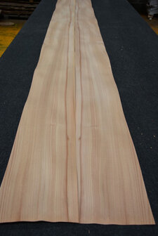 Elm Veneer 280 x 20 cm | 0.6mm| 0,560m2
