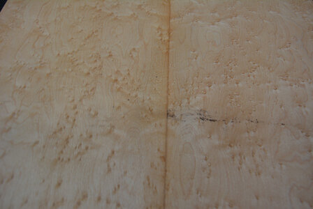 Maple Veneer 93 x 21-22 cm | 0.6mm | 0,200 m2 | Birdseye Maple VogelaugenAhorn