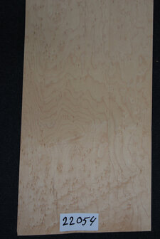 Maple Veneer 76 x 25cm | 0,188 m2 | 0.6 mm | Birdseye Maple Vogelaugen Ahorn