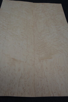 Maple Veneer 76 x 25cm | 0,188 m2 | 0.6 mm | Birdseye Maple Vogelaugen Ahorn