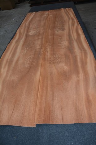 Mahogany Khaya Ivorensis Veneer 254 x 52 cm | 0.6mm | 1,321m²