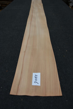 Elm Veneer 280 x 20 cm | 0.6mm| 0,560m2