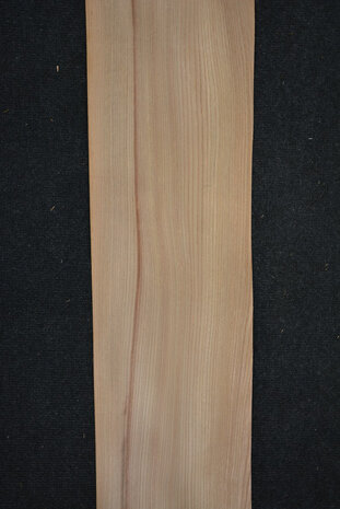 Elm Veneer 280 x 20 cm | 0.6mm| 0,560m2