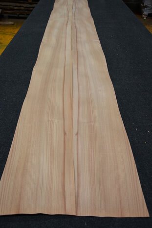 Elm Veneer 280 x 20 cm | 0.6mm| 0,560m2