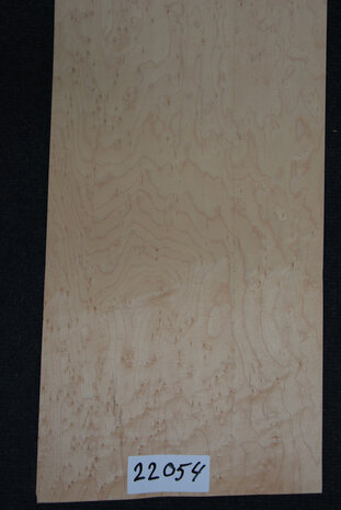 Maple Veneer 76 x 25cm | 0,188 m2 | 0.6 mm | Birdseye Maple Vogelaugen Ahorn