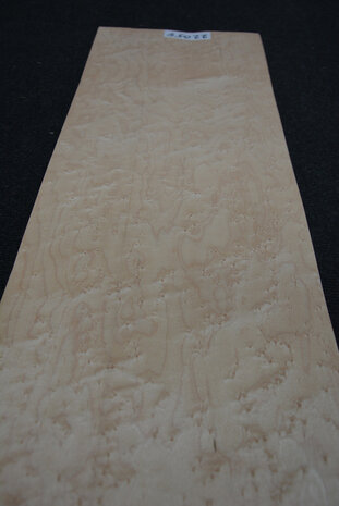 Maple Veneer 76 x 25cm | 0,188 m2 | 0.6 mm | Birdseye Maple Vogelaugen Ahorn