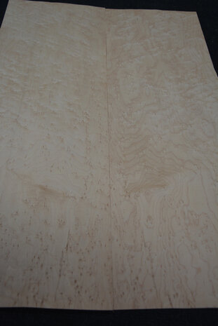 Maple Veneer 76 x 25cm | 0,188 m2 | 0.6 mm | Birdseye Maple Vogelaugen Ahorn