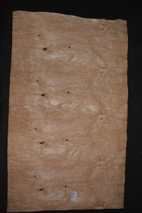 Curly birch Veneer 145 x 86 | 0.6mm | 1,247m² Curly birch Veneer 145 x 86 | 0.6mm | 1,247m²