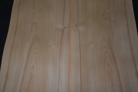 Elm Veneer 300 x 47 cm | 0.6mm | 1,410m2 Elm Veneer 300 x 47 cm | 0.6mm | 1,410m2